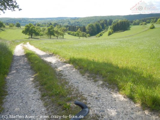 Über den Dornsberg zur Tudoburg und durch's wasserburger Tal